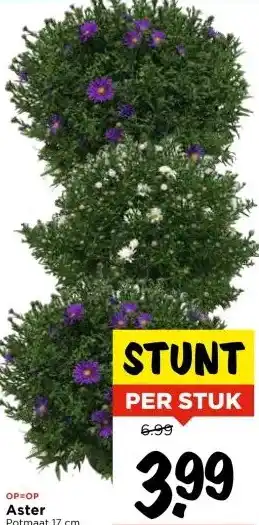 Vomar Voordeelmarkt Aster aanbieding