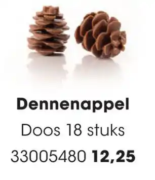 HANOS Dennenappel aanbieding