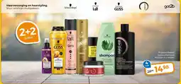 Trekpleister Haarverzorging en haarstyling aanbieding