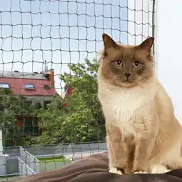 Zooplus Trixie Olijfkleurig Bijtsterk Kattennet - 2 x 1,5 m aanbieding