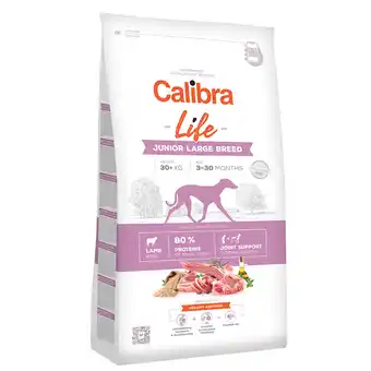 Zooplus 2x 12kg Calibra Life Junior Large Breed Lam hondenvoer droog aanbieding