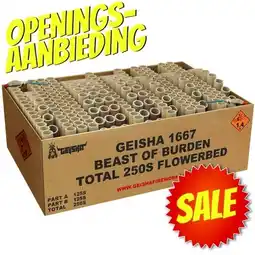 Huisman Vuurwerk Beast of Burden Openingsaanbieding aanbieding