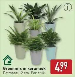 ALDI Groenmix in keramiek aanbieding