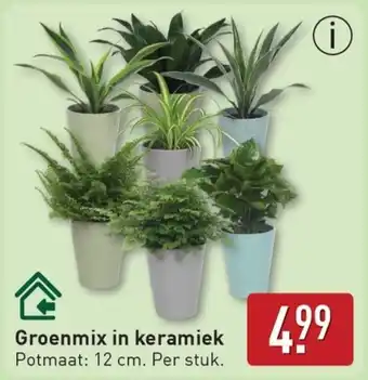 ALDI Groenmix in keramiek aanbieding