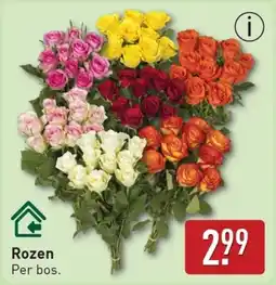 ALDI Rozen aanbieding