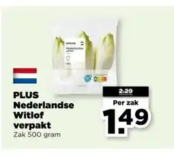 PLUS Nederlandse witlof verpakt aanbieding