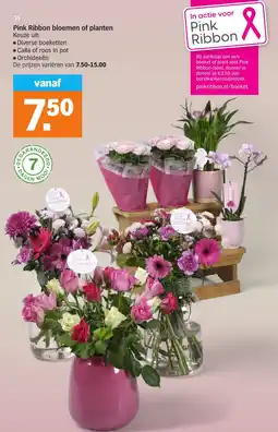Albert Heijn Pink Ribbon bloemen of planten aanbieding
