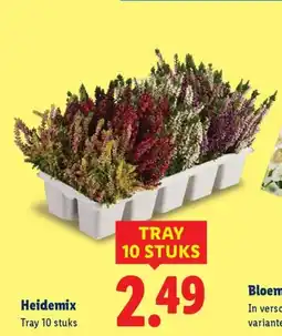 Lidl Heidemix aanbieding