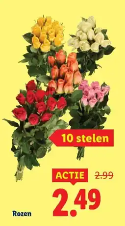 Lidl Rozen aanbieding