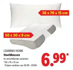 Lidl LIVARNO HOME Hoofdkussen aanbieding