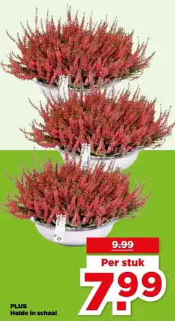 PLUS PLUS Heide in schaal aanbieding
