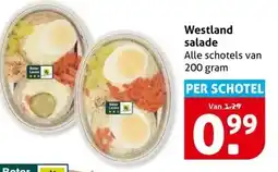 Hoogvliet Westland salade aanbieding