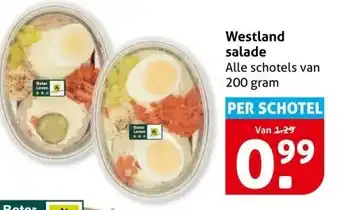 Hoogvliet Westland salade aanbieding