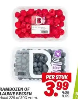 Dekamarkt FRAMBOZEN OF BLAUWE BESSEN aanbieding