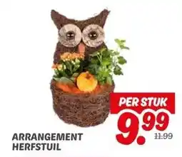Dekamarkt ARRANGEMENT HERFSTUIL aanbieding