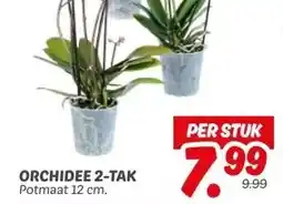 Dekamarkt ORCHIDEE 2-TAK aanbieding