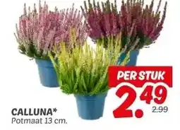 Dekamarkt CALLUNA* aanbieding
