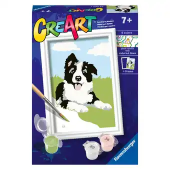 Top1Toys Ravensburger Creart schilderen op nummer border collie aanbieding