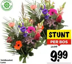 Vomar Voordeelmarkt Veldboeket Luna aanbieding