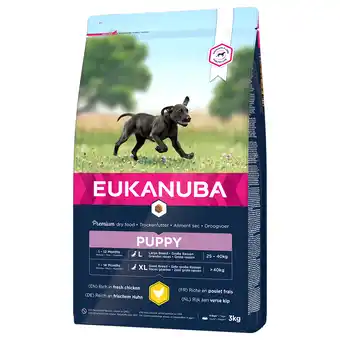 Zooplus 2x3kg Puppy Large Breed Kip Eukanuba Hondenvoer aanbieding