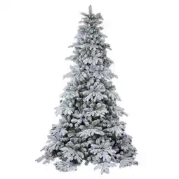 Van Cranenbroek Kerstboom Snow Valle aanbieding