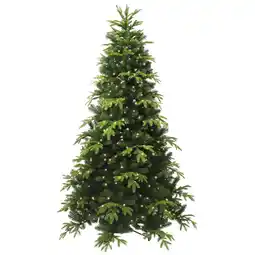 Van Cranenbroek Kerstboom Topeka aanbieding
