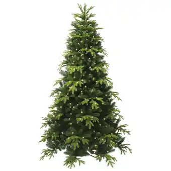 Van Cranenbroek Kerstboom Topeka aanbieding