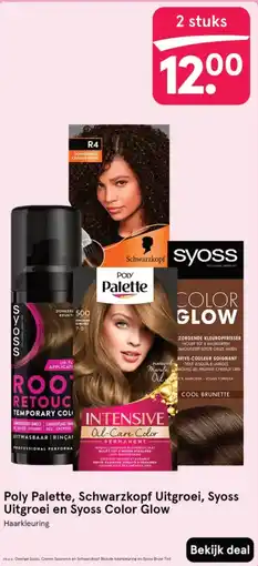 Etos Poly Palette, Schwarzkopf Uitgroei, Syoss Uitgroei en Syoss Color Glow aanbieding