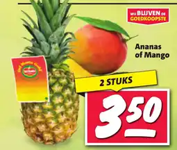Nettorama Ananas of Mango aanbieding