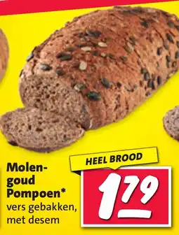 Nettorama Molen- goud Pompoen aanbieding
