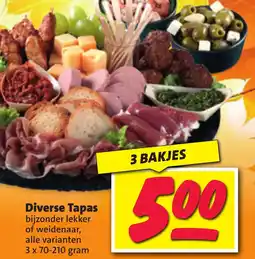 Nettorama Diverse Tapas aanbieding