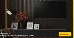 Praxis BIJVOORBEELD: MAESTRO WANDPANELEN LUXX aanbieding