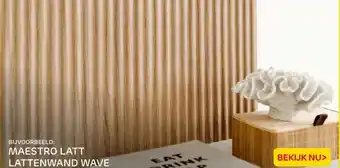 Praxis BIJVOORBEELD: MAESTRO LATT LATTENWAND WAVE aanbieding