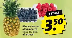 Boni Blauwe bessen of frambozen aanbieding
