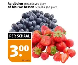 Poiesz Aardbeien of blauwe bessen aanbieding