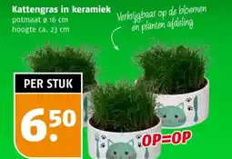 Poiesz Kattengras in keramiek aanbieding