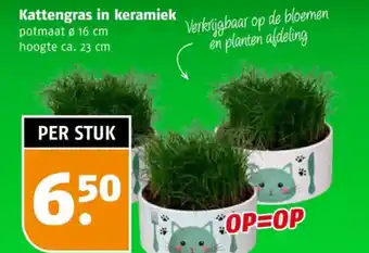 Poiesz Kattengras in keramiek aanbieding