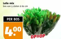 Poiesz Lelie mix aanbieding