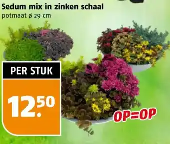 Poiesz Sedum mix in zinken schaal aanbieding