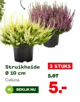 Welkoop Struikheide Ø 10 cm aanbieding