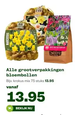 Welkoop Alle grootverpakkingen bloembollen aanbieding
