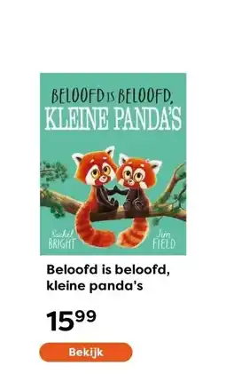 The Read Shop Beloofd is beloofd, kleine panda's aanbieding