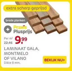 Praxis LAMINAAT GALA,MONTMELO OF VILANO aanbieding