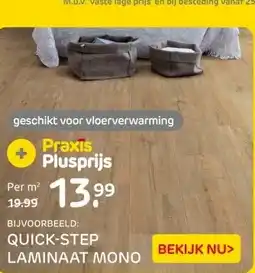 Praxis BIJVOORBEELD: QUICK-STEP LAMINAAT MONO aanbieding
