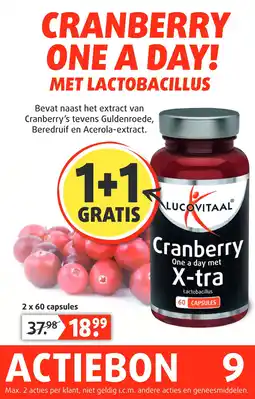 Lucovitaal CRANBERRY ONE A DAY! MET LACTOBACILLUS aanbieding
