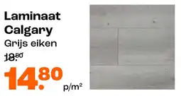 Kwantum Laminaat Calgary aanbieding