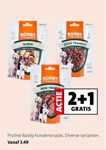 Intratuin Proline Boxby hondensnacks. aanbieding