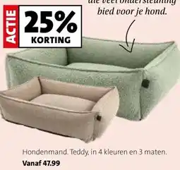 Intratuin Hondenmand. Teddy, aanbieding