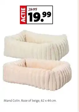 Intratuin Mand Colin. aanbieding