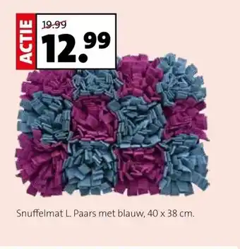 Intratuin Snuffelmat L. Paars met blauw, aanbieding